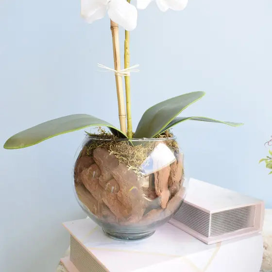 Arranjo Orquídea Artificial Branca no Vaso de Vidro-Mafra Express™