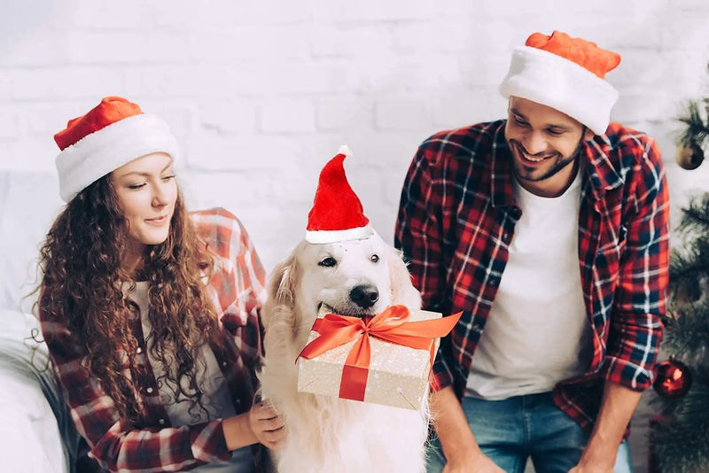 Chapéu de Natal para Animais de Estimação-Mafra Express™