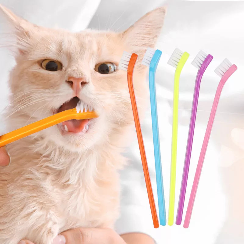 Escova de Dentes para gatos-Mafra Express™