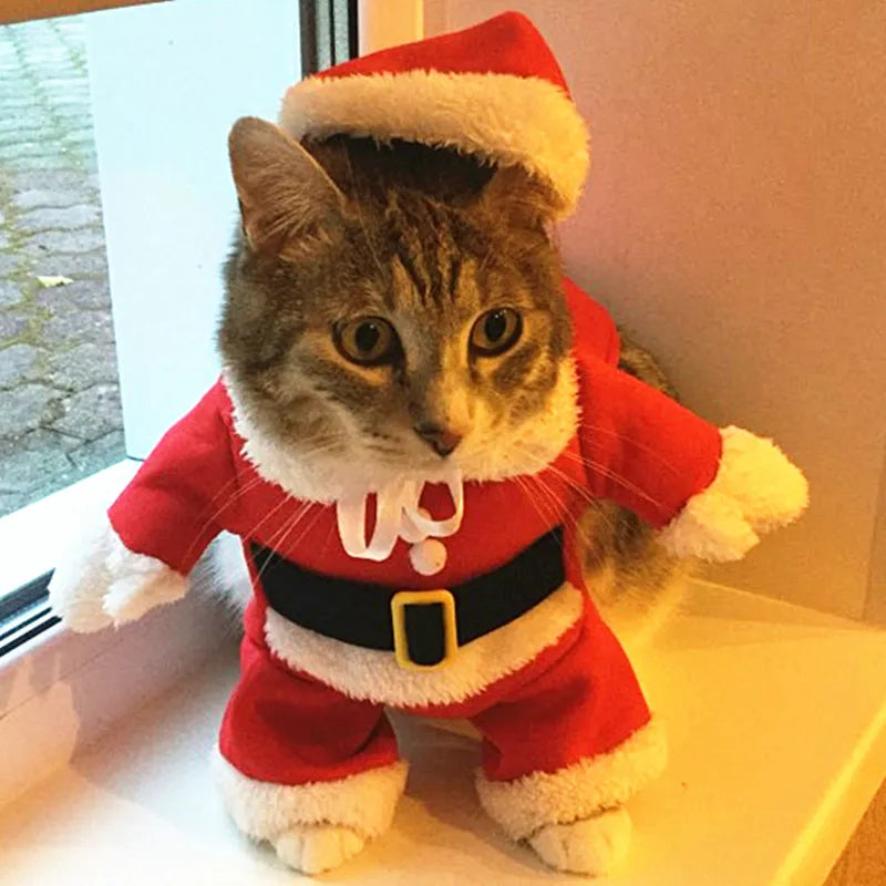 Roupa de Papai Noel para Pets-Mafra Express™