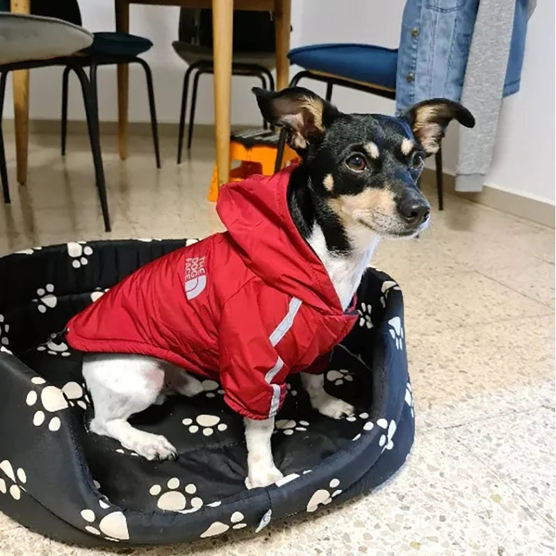 Roupa à Prova D'Água para Pets-Mafra Express™