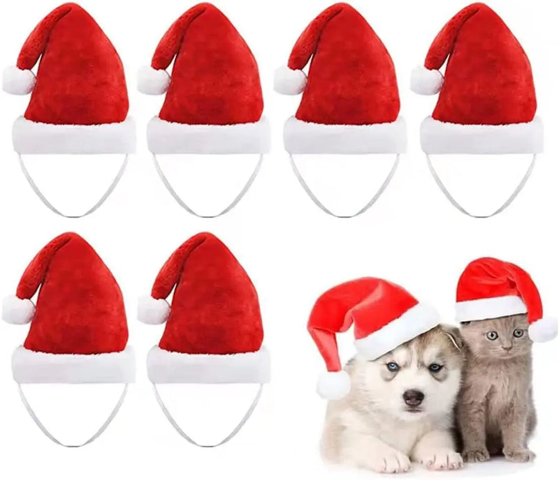 Chapéu de Natal para Animais de Estimação-Mafra Express™