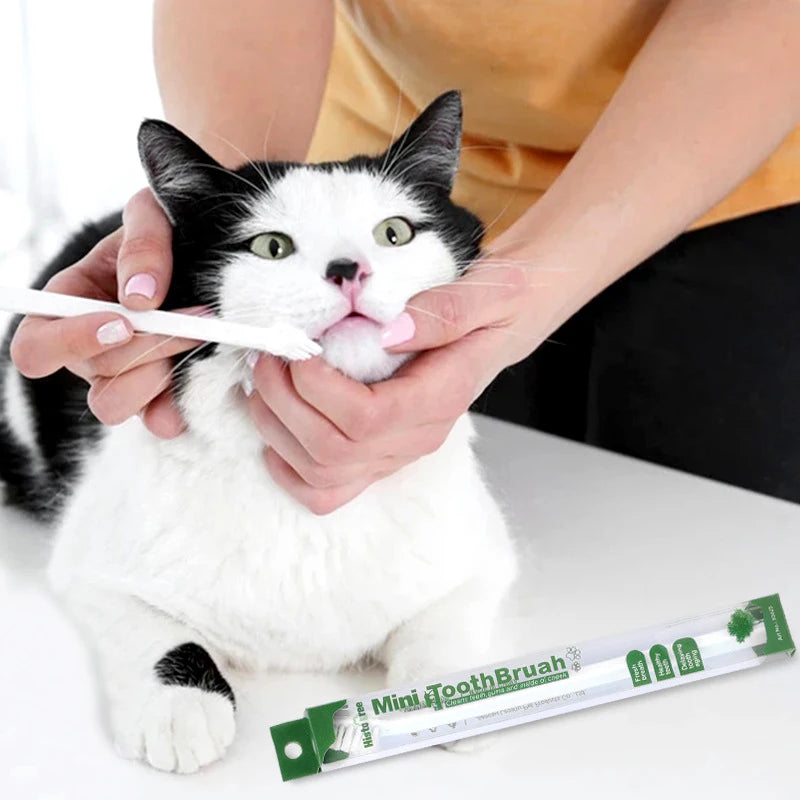 Escova de Dentes para gatos-Mafra Express™