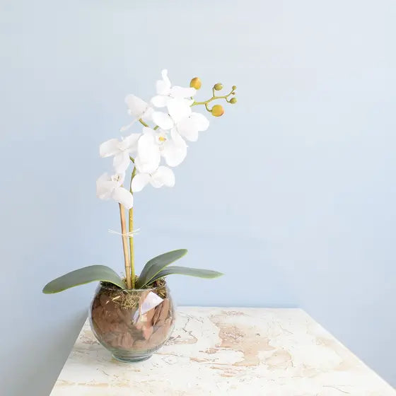 Arranjo Orquídea Artificial Branca no Vaso de Vidro-Mafra Express™